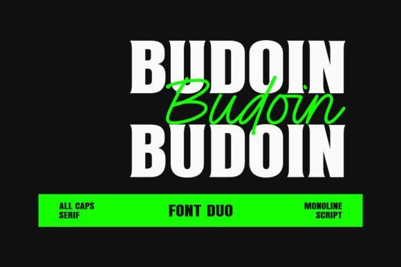 Budoin Font: Elevating Web Design with Elegant Typography