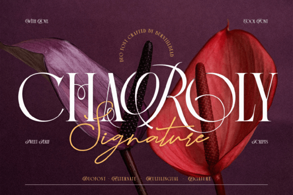 Charoly Signature: The Perfect Serif Font for Handmade Brands