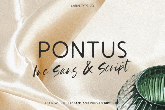Pontus Font: A Designer's Take on Modern Branding