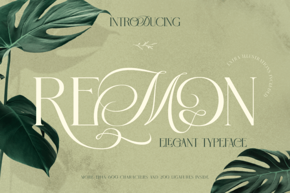Remon: The Serif Font That Elevates Your Brand Story