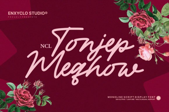 Tonjep Meqhow: A Monoline Script Font for Campaigns